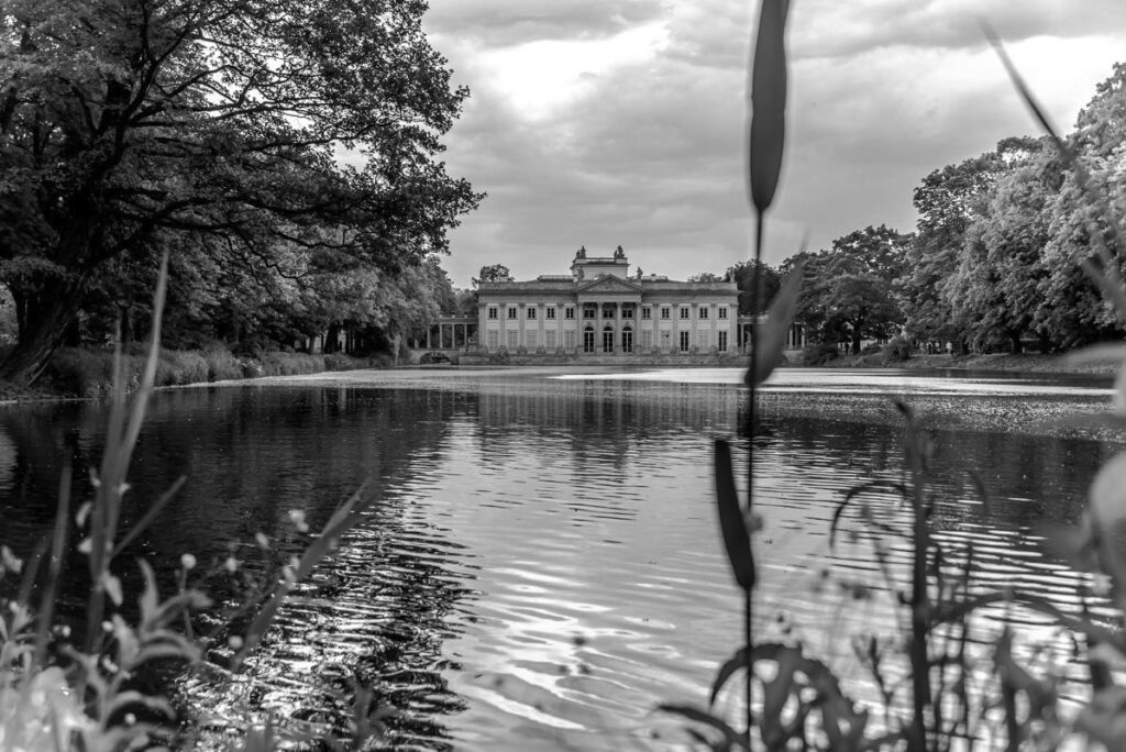Samira Zuabi Fotografa Milano, Pittrice e Scrittrice